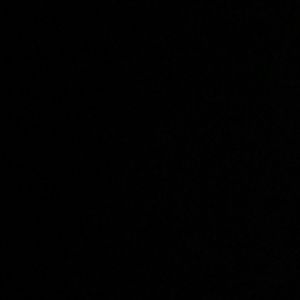 Meet your Posher, Lily